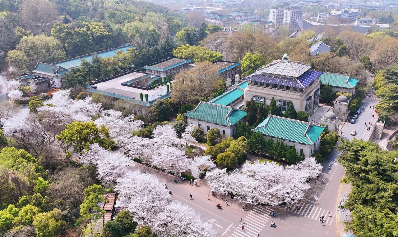 武汉大学的亲戚告诉我，“骚扰”这件事儿武汉大学其实挺冤的。
为什么呢？因为从一开