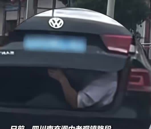 “聪明反被聪明误！”四川，一司机为了不让刚买的小猪崽中暑，竟让朋友坐到后备箱中照