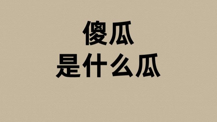 傻瓜的瓜是什么瓜？