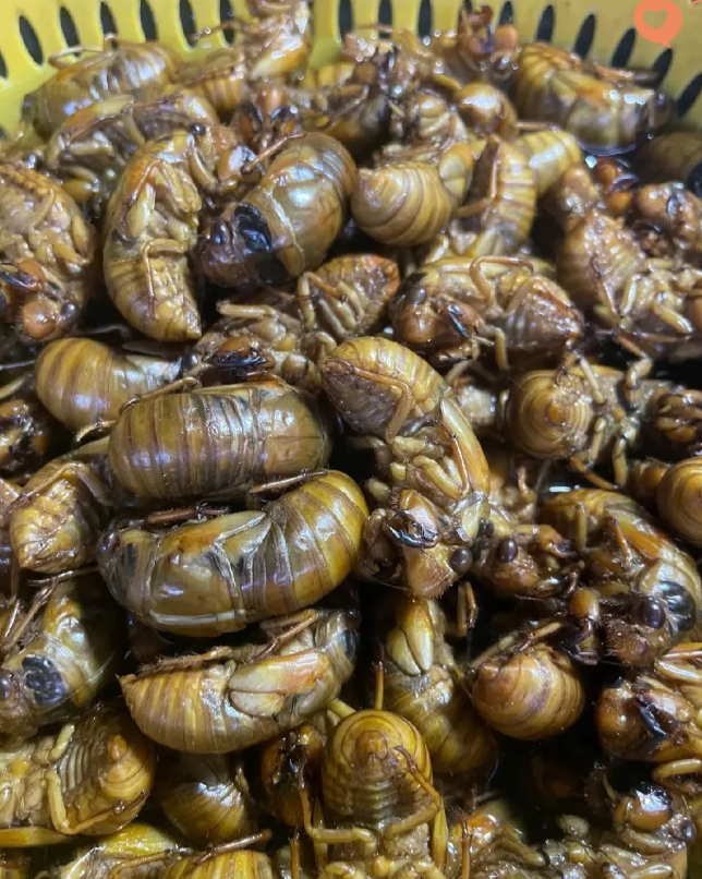 这是哪个地域的地道美食？叫啥呀，太有食欲了
