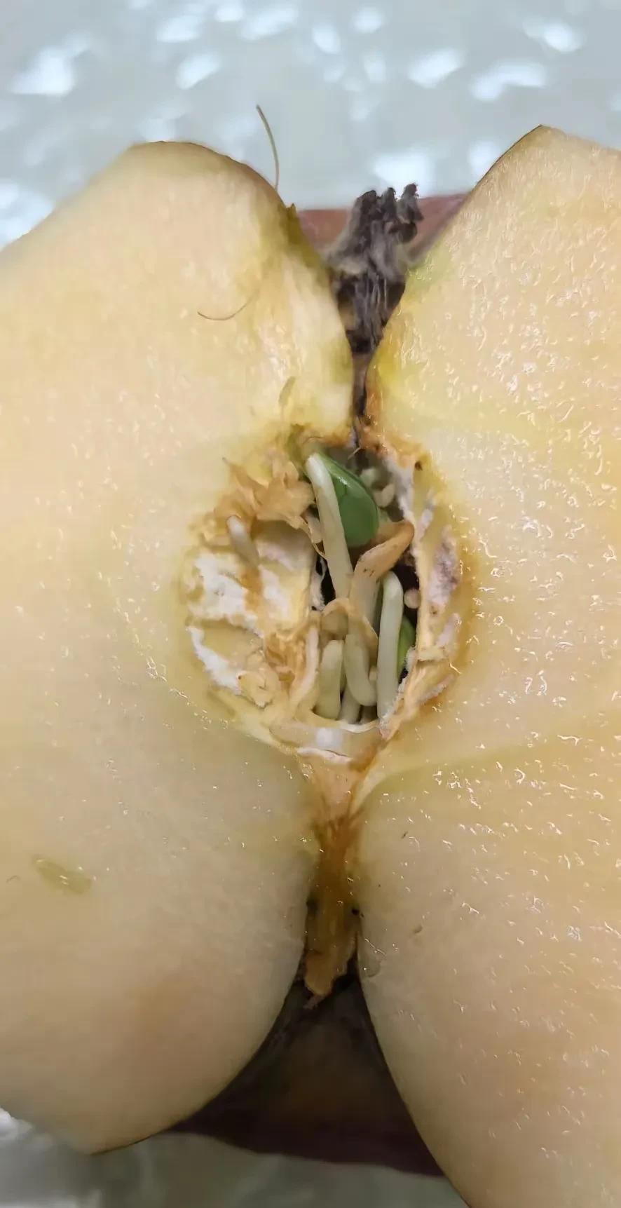 活了70年，以前没见过，不知道现在的人和物都是怎么啦，真的想不通。
苹果呀苹果，