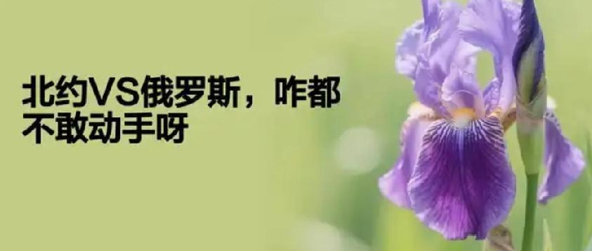 波兰要拿“中欧班列”说事
        北约与俄罗斯“剑拔弩张”，但双方都不敢