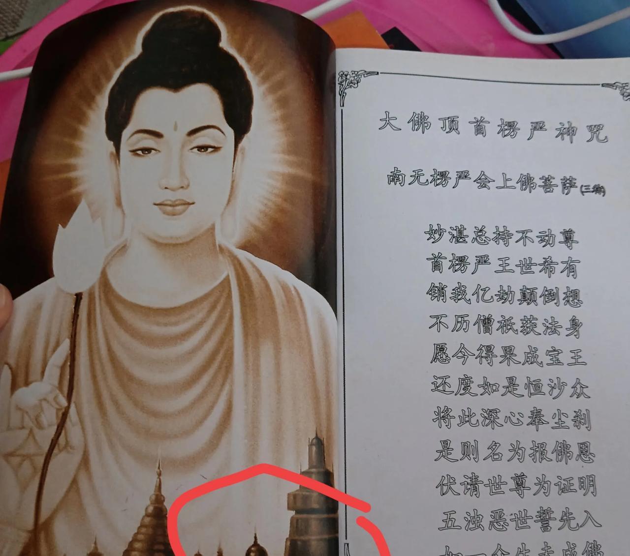 书里描写佛陀容貌完美，眼睛明亮，眉毛修长，嘴唇红润带笑，头发如黑珍珠，肌肤洁白散