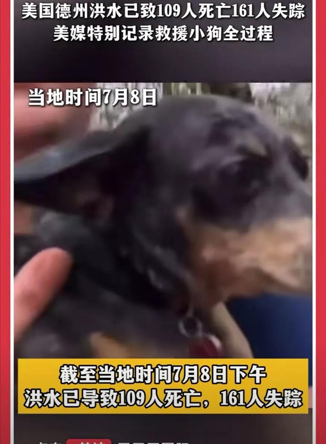 果然网友没有猜错，得州洪水救出一条狗。中国人在作秀方面真的差太远了，人家美国消防