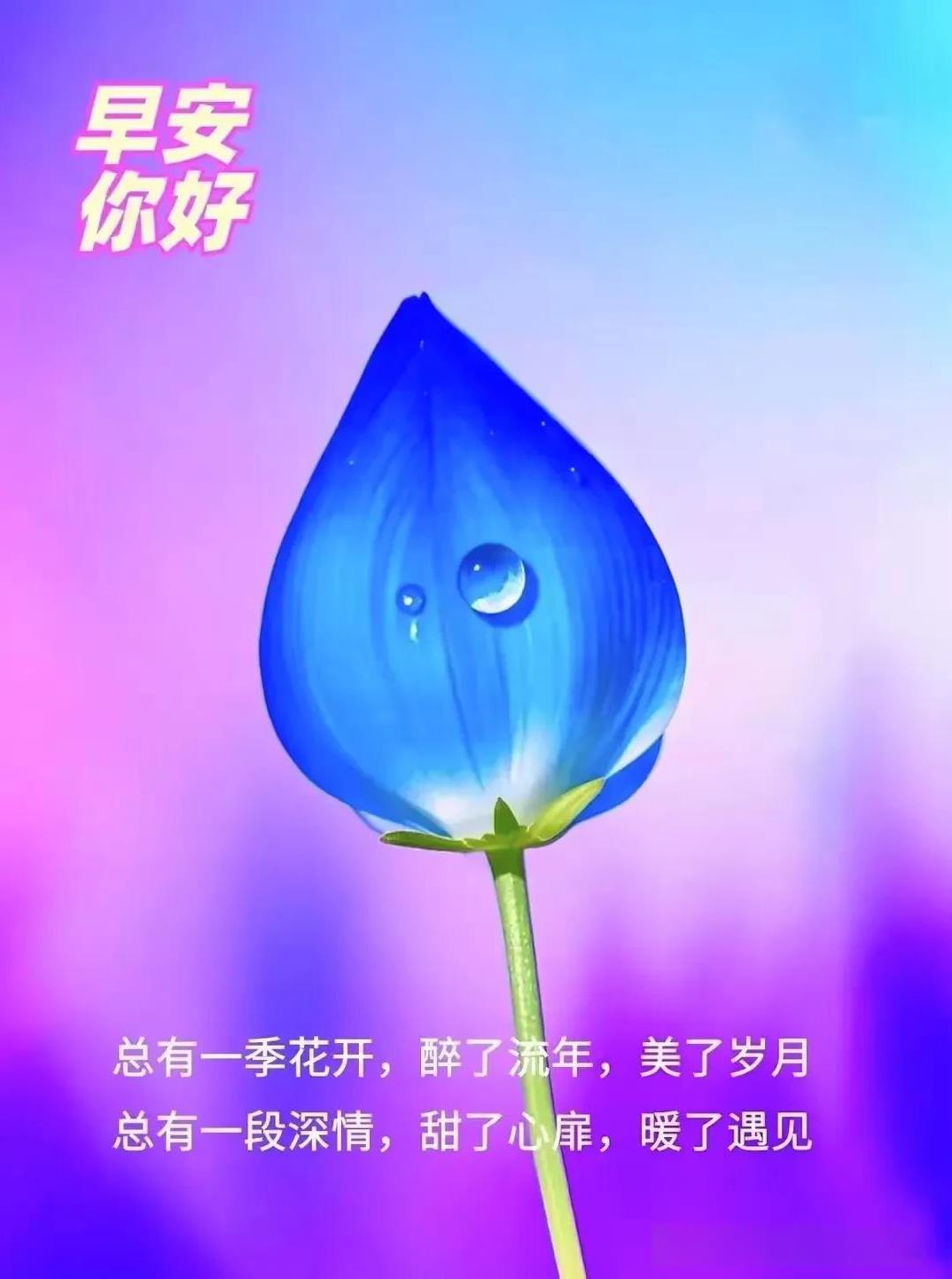 #上联：清风一语惊残梦，诚邀下联#明月半弯惹别情。