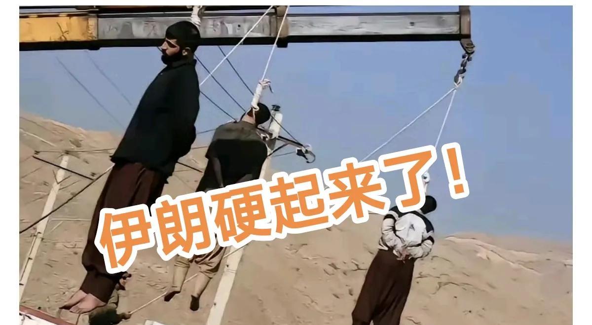 伊朗终于出手了！
绞刑！伊朗祭出重典，肃清内鬼！
处死“内鬼”，怎样的方式都不为