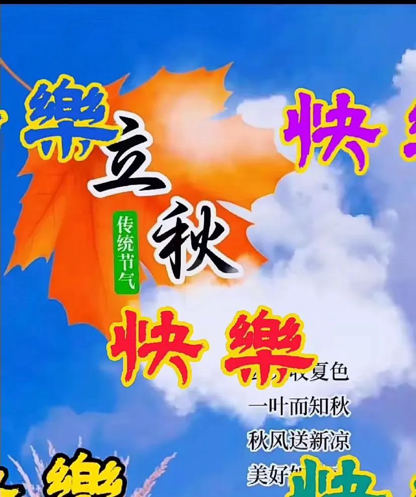 秋日荷塘，红艳绽放，唯美瞬间