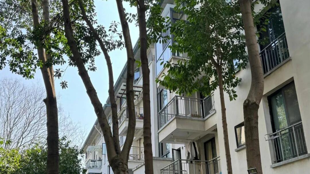 为啥有钱人都偷偷收购“步梯房”？内行人说出实情，让我恍然大悟