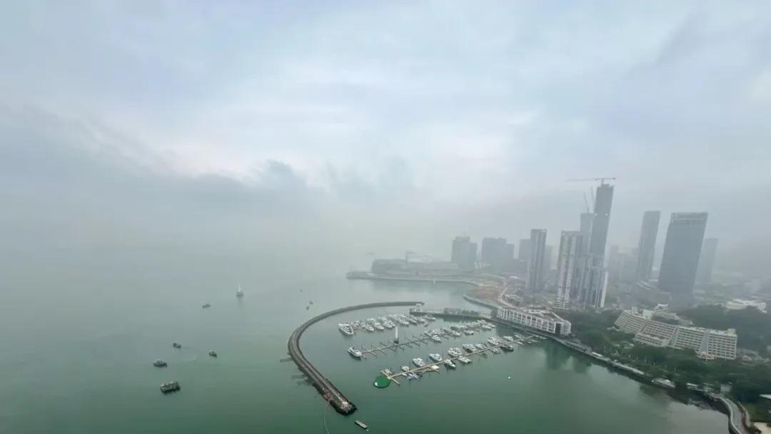 蛇口豪宅双玺4501法拍二进宫到底是心中白月光还是黑白无常