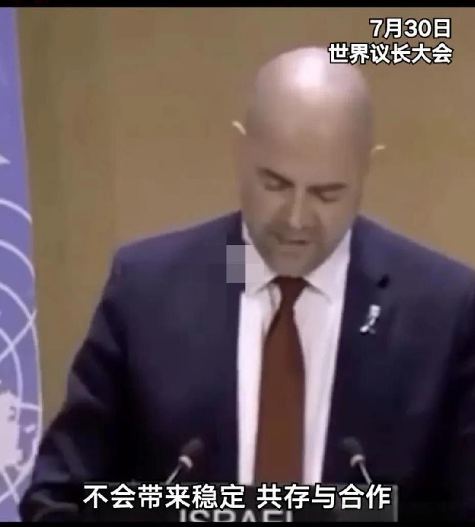 “不要承认巴勒斯坦国，他不会带来和平和合作，只有战争！”以色列议长阿米尔·奥哈纳