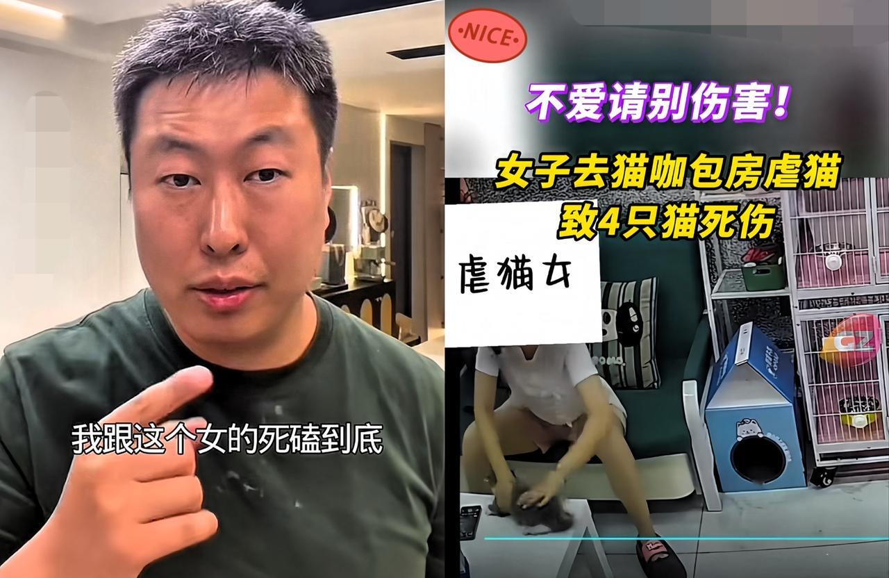 我算是明白“虐猫女”为什么会有恃无恐了！
就算店主叶先生拼上身家也要追责她，她也
