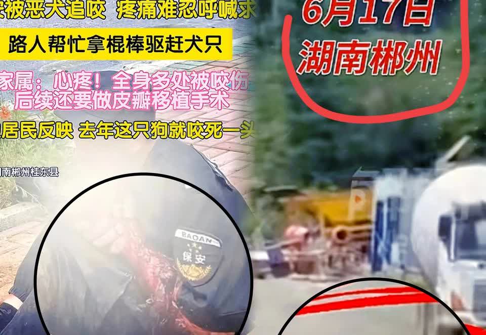 一枪击毙
湖南一男子在倒垃圾时遭到一只比特犬扑倒撕咬
尽管他奋力反抗，但无济