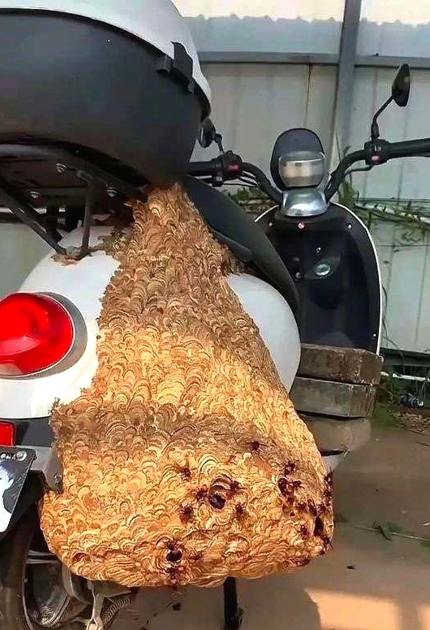 停了半个年，这咋办还能骑吗？
