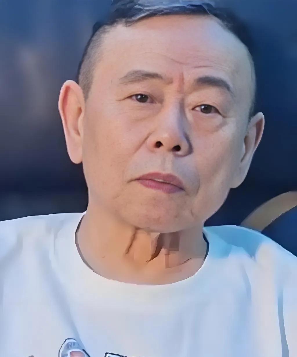 2025年7月，68岁的潘长江携短剧《进击的潘叔》闯入短剧圈，播放量迅速突破2亿