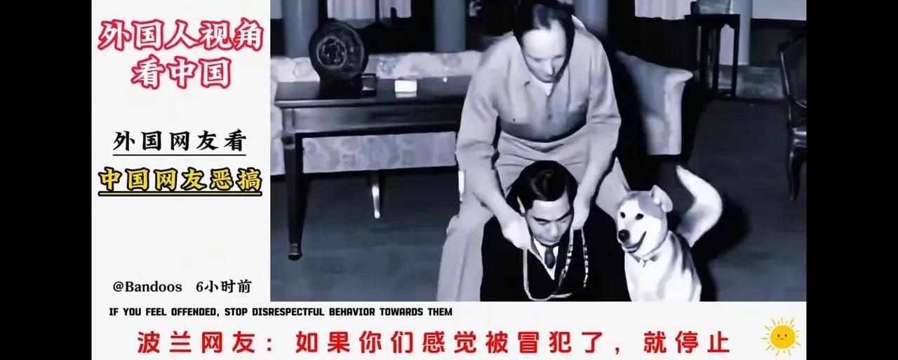 不得不说，日本人渗透很厉害。他们居然比大多数中国网友先发现这段恶搞视频。很多网友