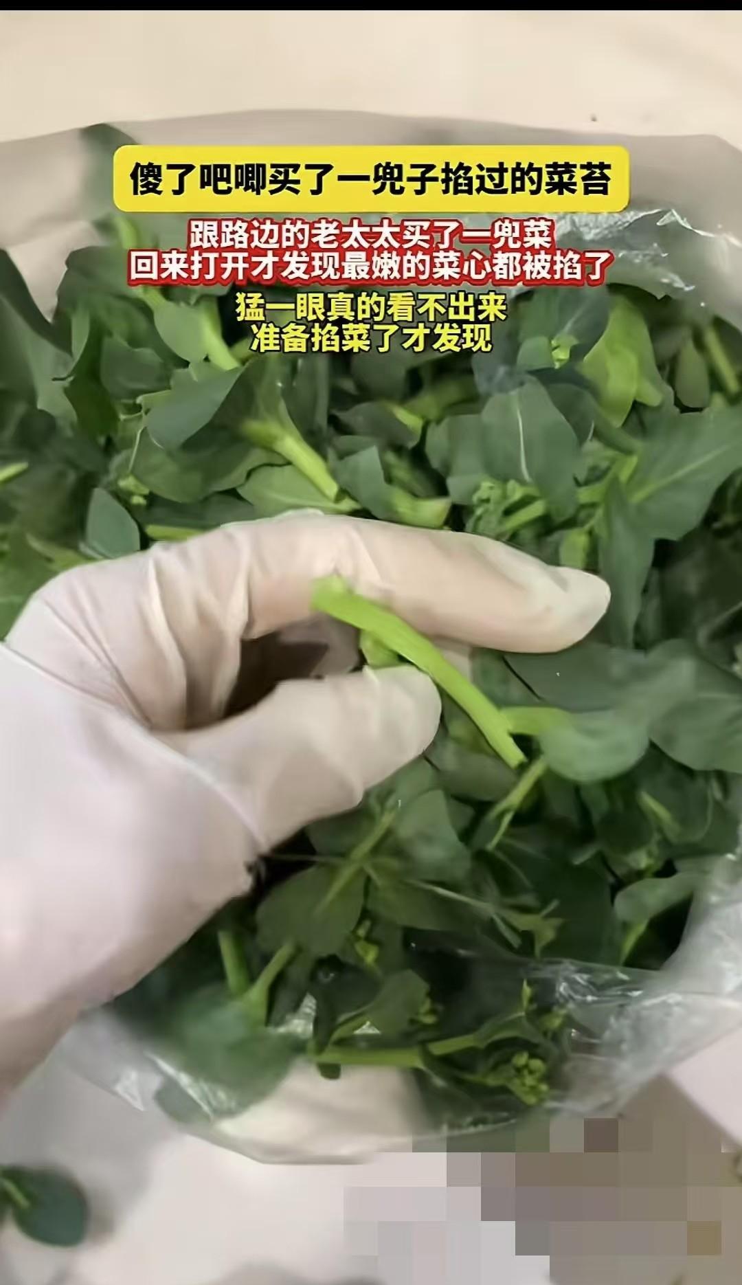 浙江，一名女子从老人的摊子上买了一把菜苔，到家后才发现菜苔最嫩的部位全部被掐掉了