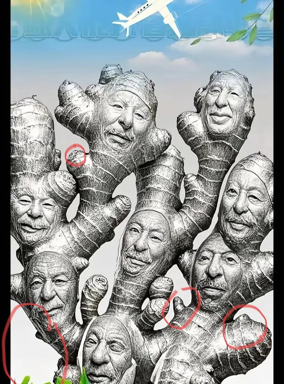至少可以找出11个，但我的头脑还是不够灵活，证明不了哥德巴赫猜想[捂脸]