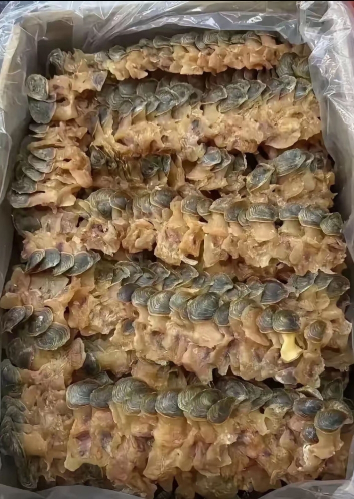 这玩意要是能好吃我把它全吃了。