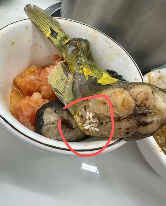 吃鱼看到了这个，是什么？
