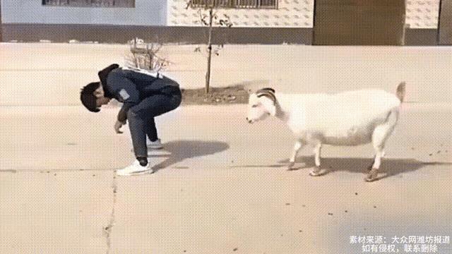 在你没看完的时候，你能想到后果吗？