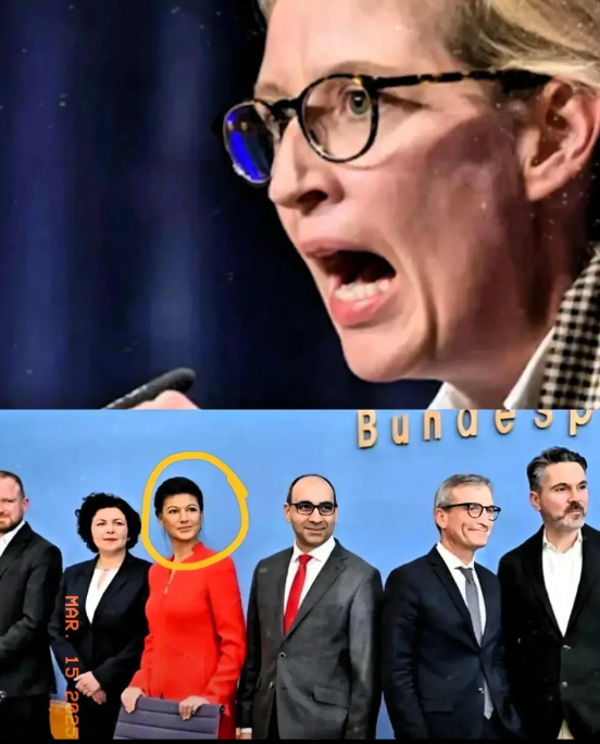 德国大选突发重大变故！一万余张选票离奇失踪，现政府还能安稳执政吗？

德国大选再