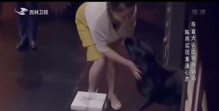 善良的人自带福相，
幸福的珍妮遇到好妈妈。
为啥我看陈燕女士，越看越美呢？燕子虽