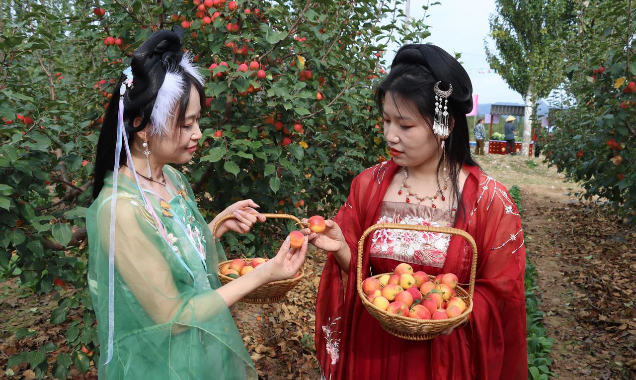 9月26日，作为2025年延庆区中国农民丰收节系列活动重要分会场之一的香营乡热闹