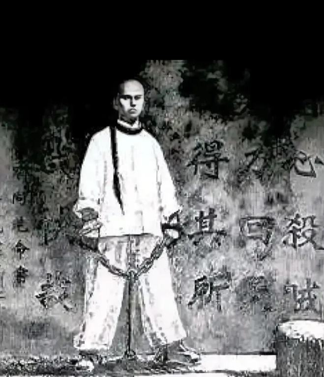1898年，谭嗣同被活活砍了30刀，临死前，他的妻子哭的肝肠寸断，还说：“我想给