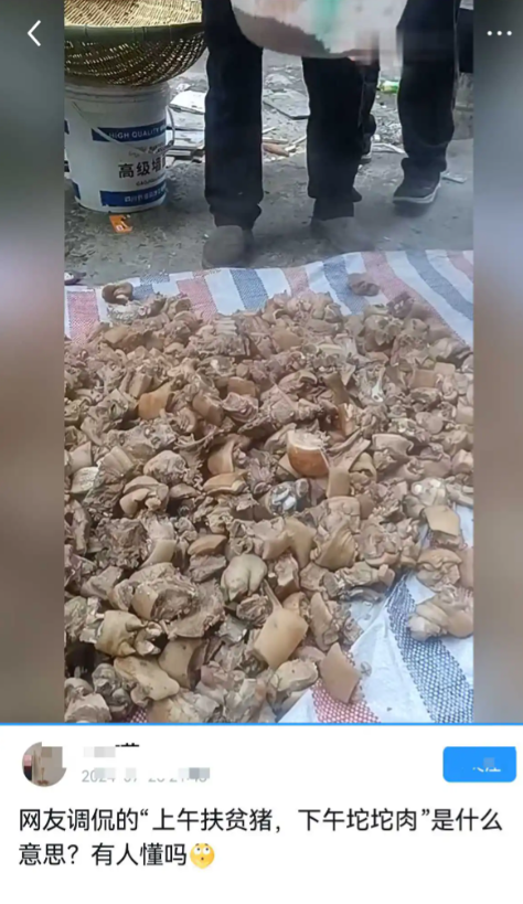 扶贫，上午送猪仔，下午吃猪仔肉

