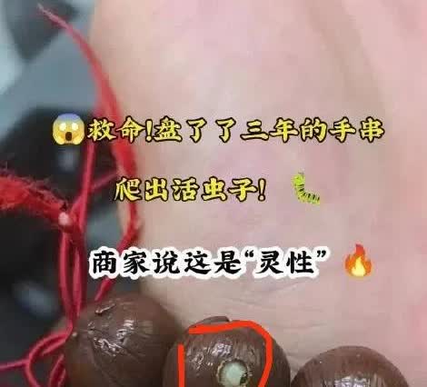 太离谱！山西一女子盘了整整3年的手串，某天突然从孔里钻出只活蹦乱跳的虫子，吓得她