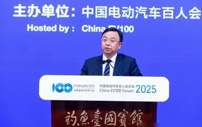 比亚迪这波操作太狠了！王传福今天放话：2025年比亚迪不以盈利为考核指标，结果看