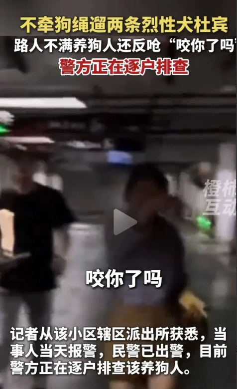 两只杜宾犬的嚣张女主人已经找到，
目前官方的处理结果是“已经得到妥善处理”，本人