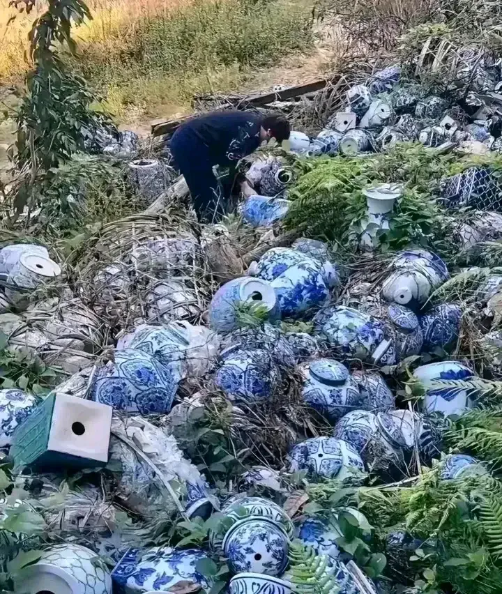 爬山的时候发现的，真想带两个回去，不知这是啥？
