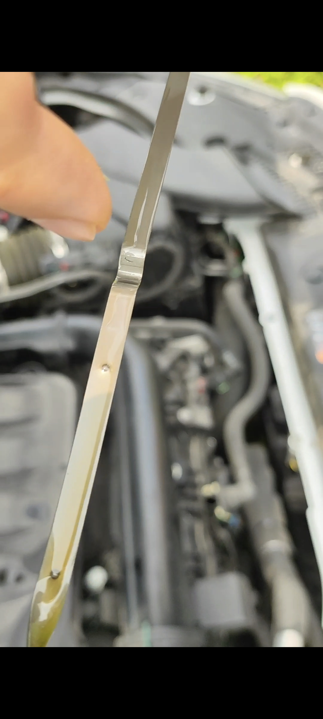 4儿子店机油加多是故意的吗
半个月前车辆二保，在4儿子店做的。之后跑了近200k