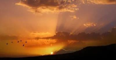 支个摊儿，看手纹
男左女右 手指并拢
娱乐为主 博君一笑
知无不言 好坏都