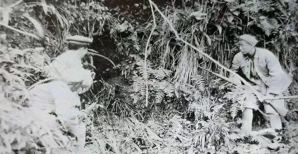 1948年，土匪打散迎亲队伍，围住花轿。匪首把新娘盖头一掀，直了眼：年轻漂亮！冲