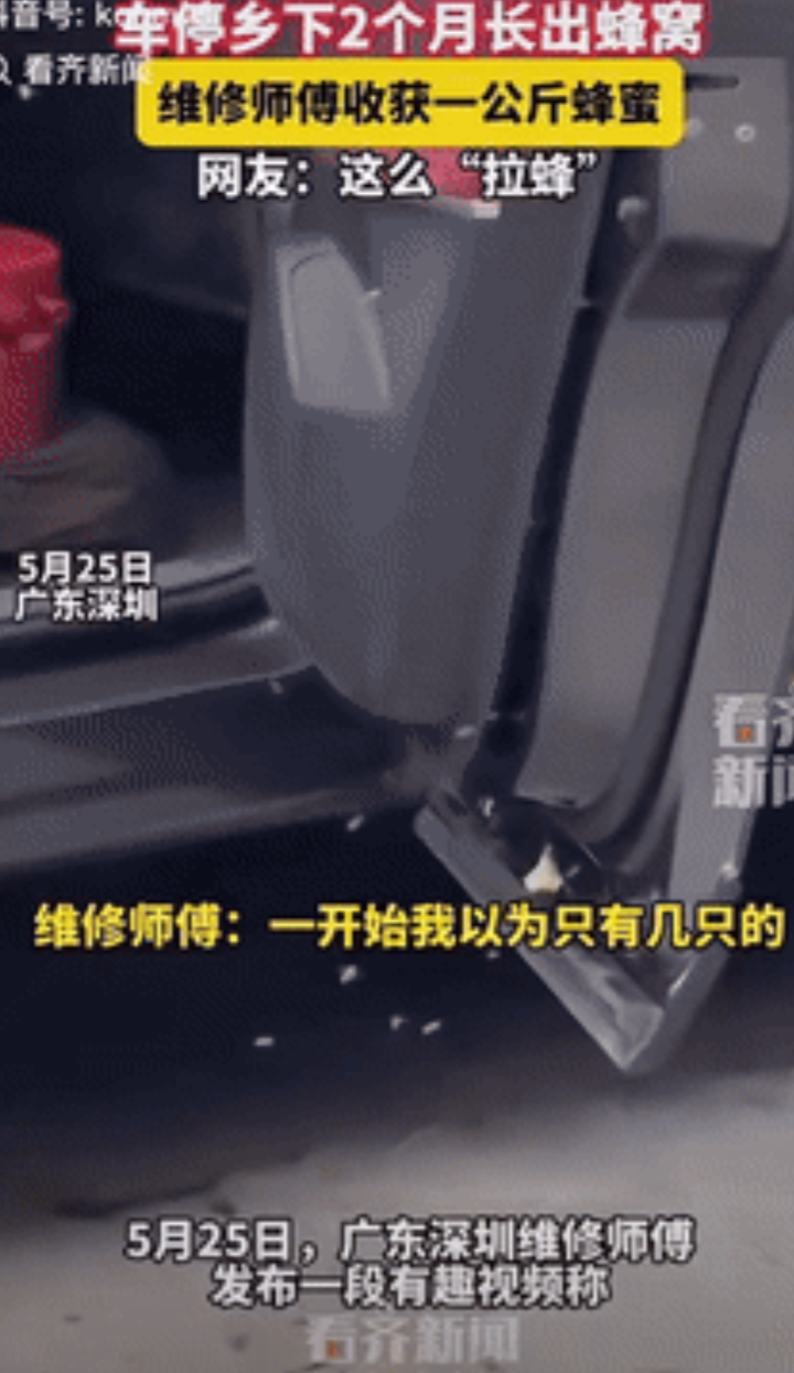 运气太好了！广东，男子将车子停在了农村老家，不料2个月过后他去开车，一打开车门，