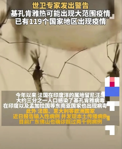 #世卫组织警告基孔肯雅热或流行#
      世卫组织都警告了，看来基孔肯雅热在