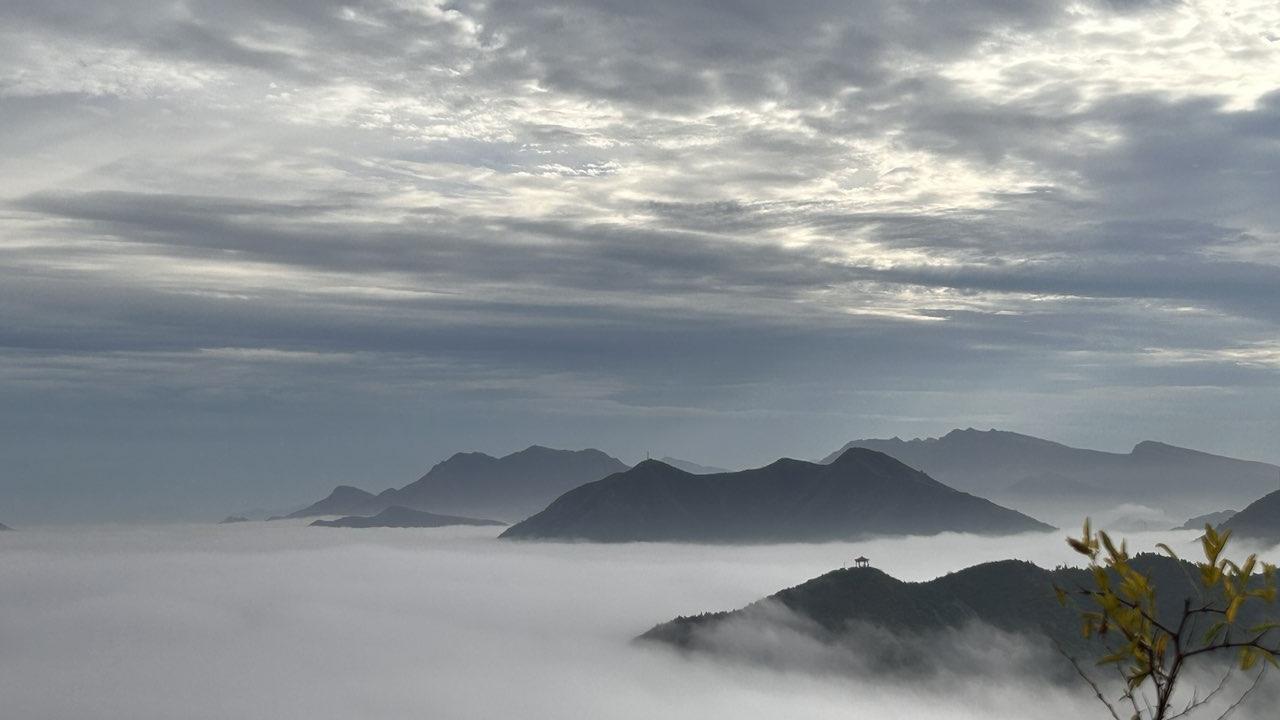 精辟的现实语录，经典毒辣，句句提神！