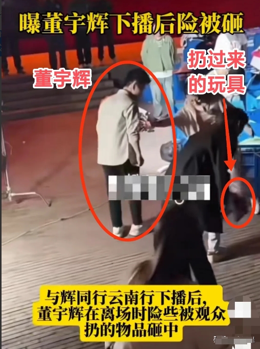 我好像明白
董宇辉为什么会被砸了？
并不是因为大家讨厌他，也不是大家不喜欢他卖的