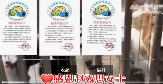 赵露思太暖心了，六月向广元市博爱动物保护中心捐赠护生善款5000元，用于小动物们