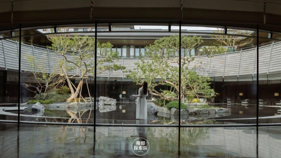 隐于千年古木间！住进希尔顿格芮精选的避世秘境