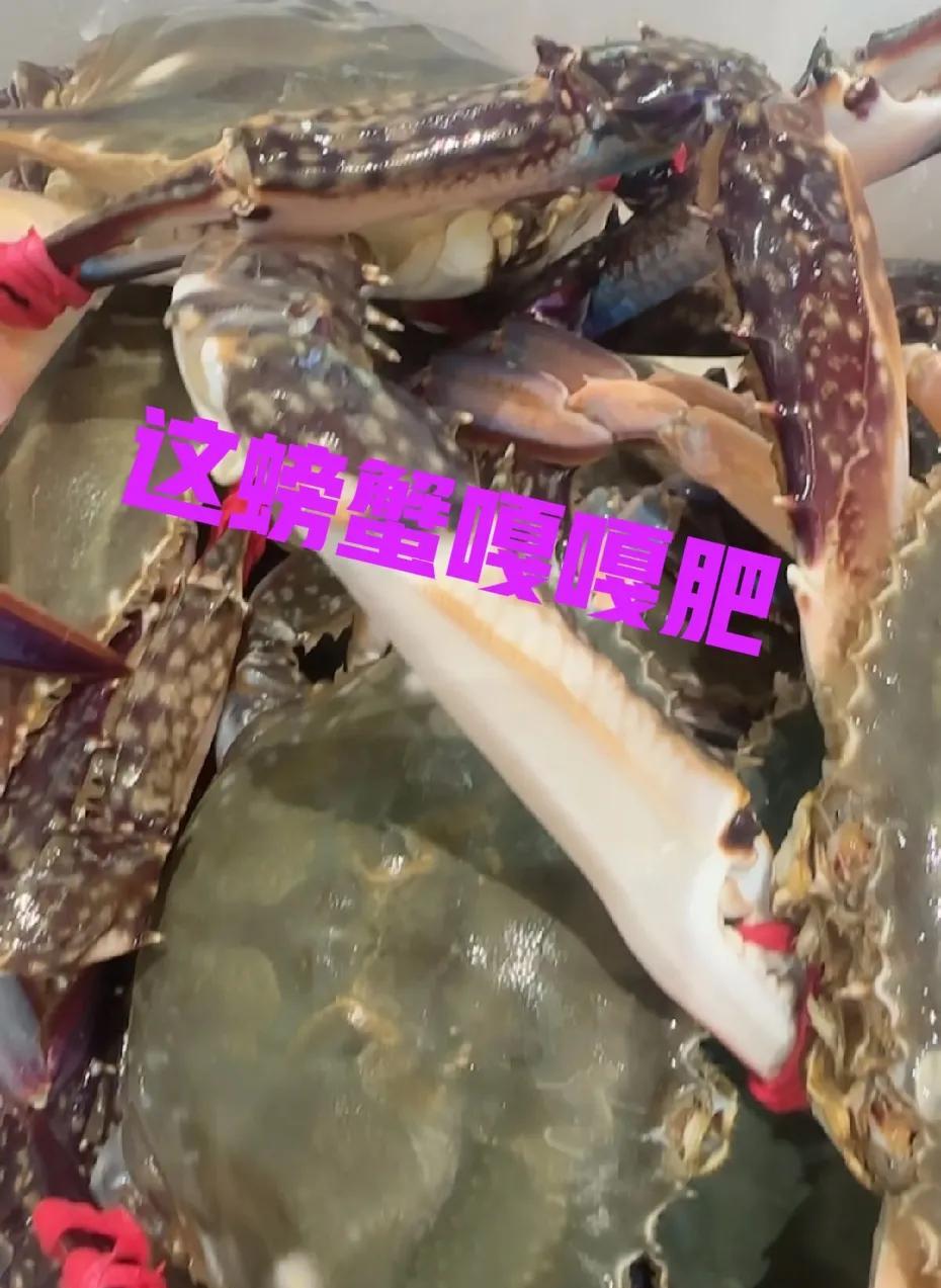 选螃蟹是一个艰巨工程，我买了11年螃蟹，就两三次没有被骗。