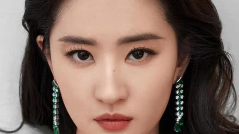 刚刷到有人催着大V给对联集写推荐语这事