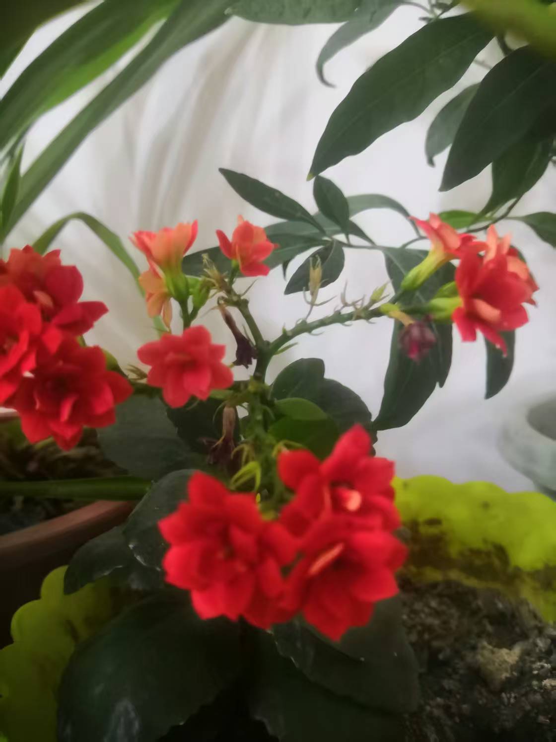 一束花的仪式感，永远都不会过时