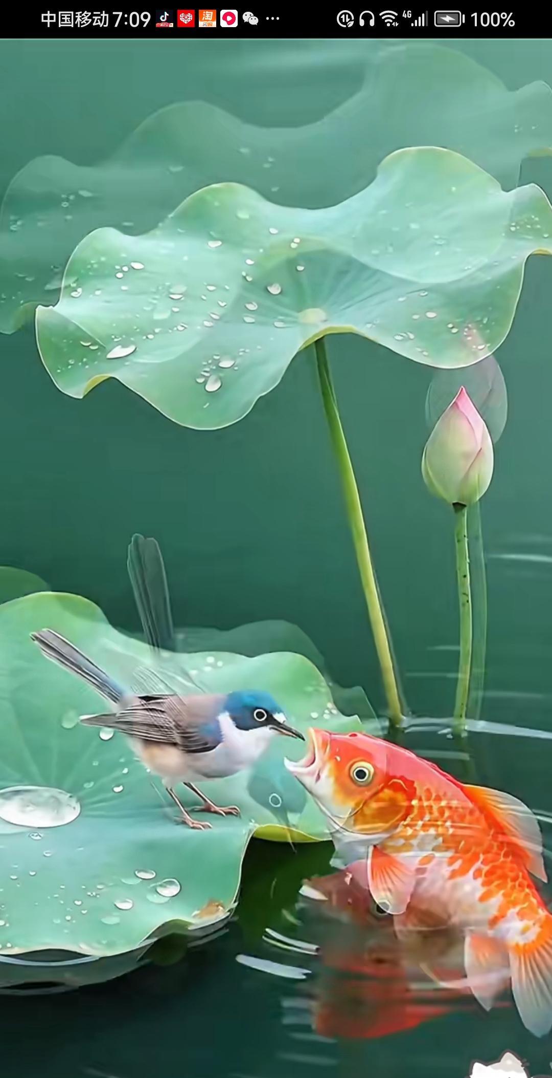 《五绝·荷塘鱼鸟趣》/马进鹏
翠羽荷间立，红鳞水上歌。
清塘藏妙意，天地共欢和。
