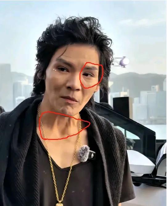 向佐，这是怎么了？曾经那么阳光的一个男孩子，怎么突然变成了大婶儿了？
难道天天扮