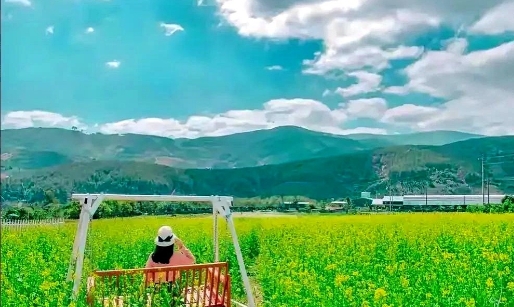 一场环保的警钟：徐某夫的污染之路

河北省清河县的一个小村庄里，徐某夫经营着一家