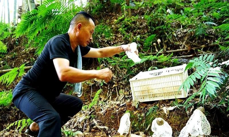 中国蛇类资源最丰富的省份有云南、广西和福建。
云南毒蛇种类最多，广西和福建稍少些