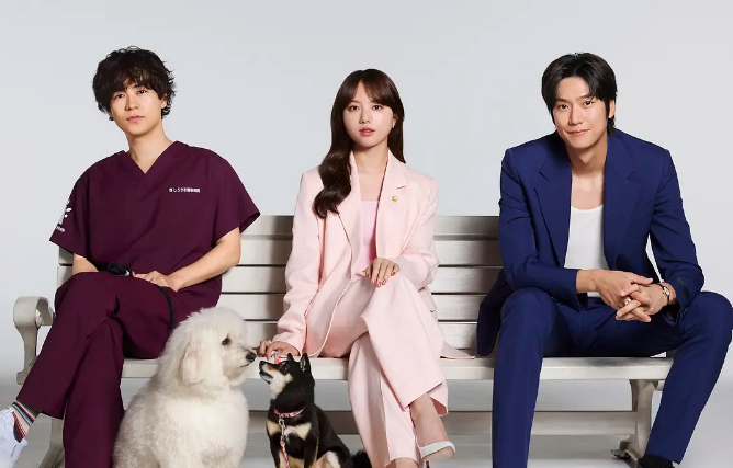 日剧《初恋DOGs》《我杀掉的丈夫回来了》《狱警的信条》定档